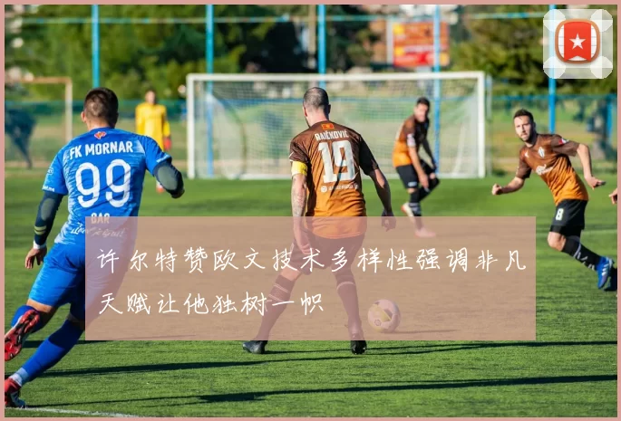 许尔特赞欧文技术多样性强调非凡天赋让他独树一帜