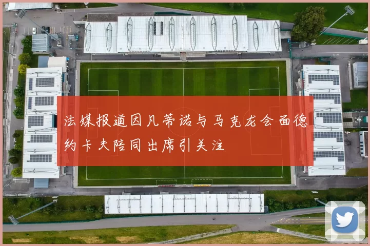 法媒报道因凡蒂诺与马克龙会面德约卡夫陪同出席引关注